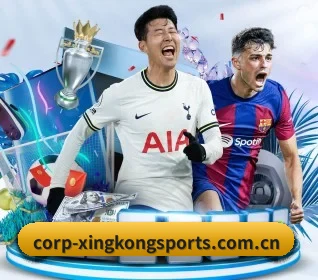 星空数字平台 APP